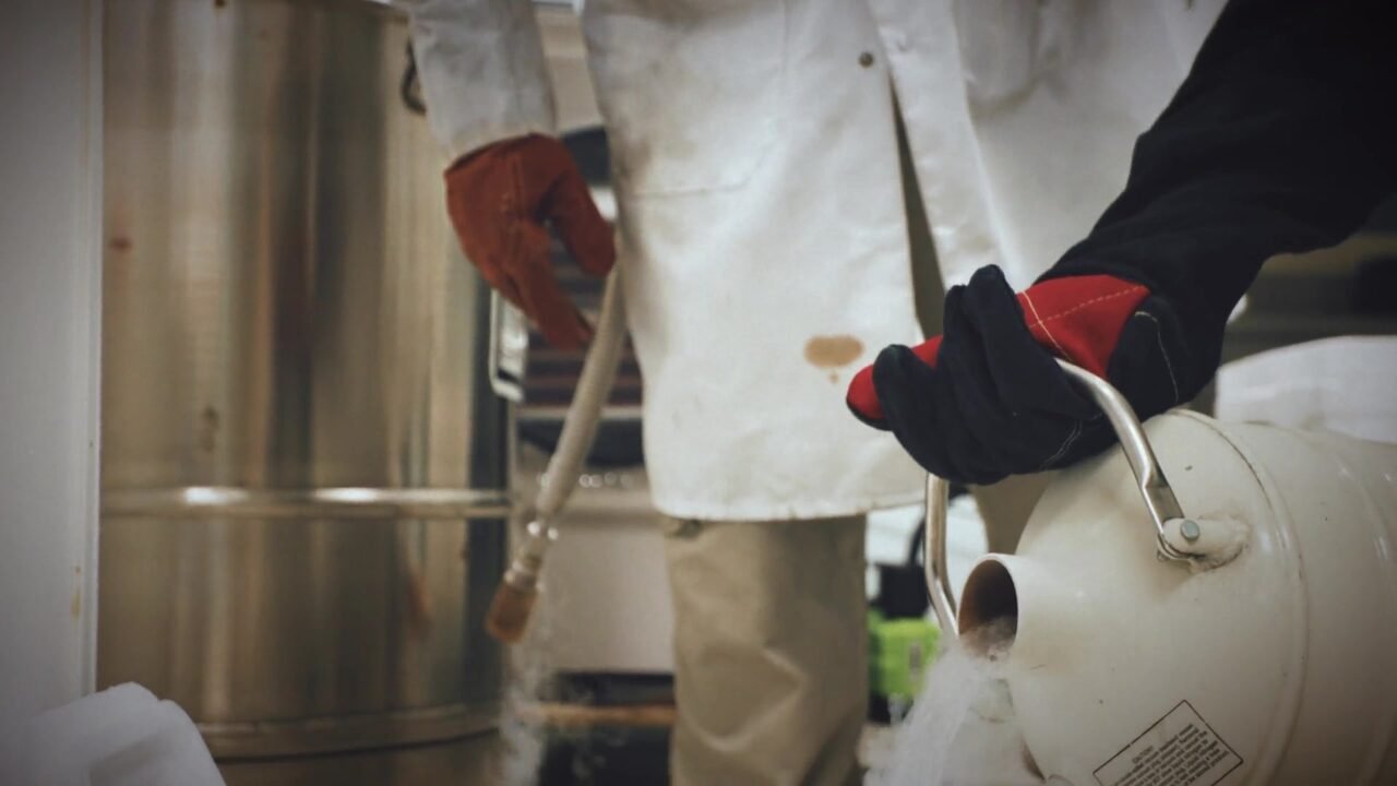 Close-up of process work